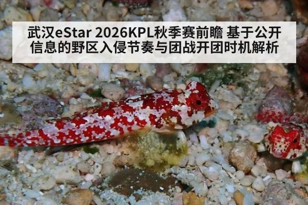 武汉eStar 2026KPL秋季赛前瞻 基于公开信息的野区入侵节奏与团战开团时机解析
